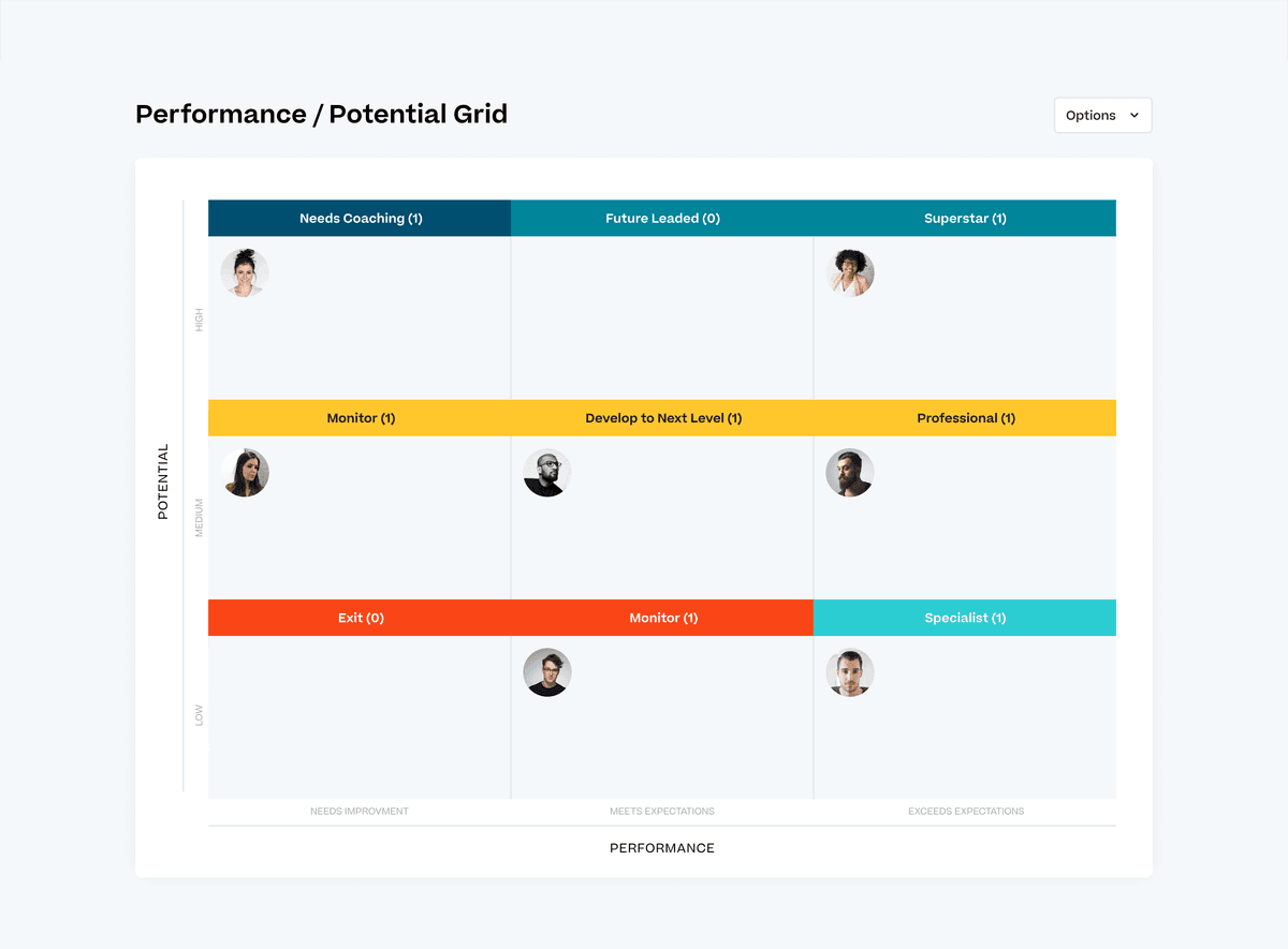 Cornerstone Succession