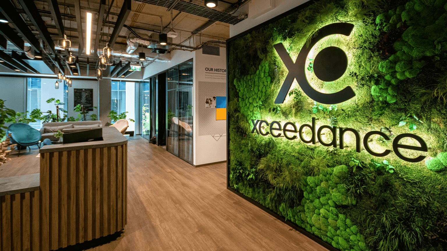 Xceedance office.