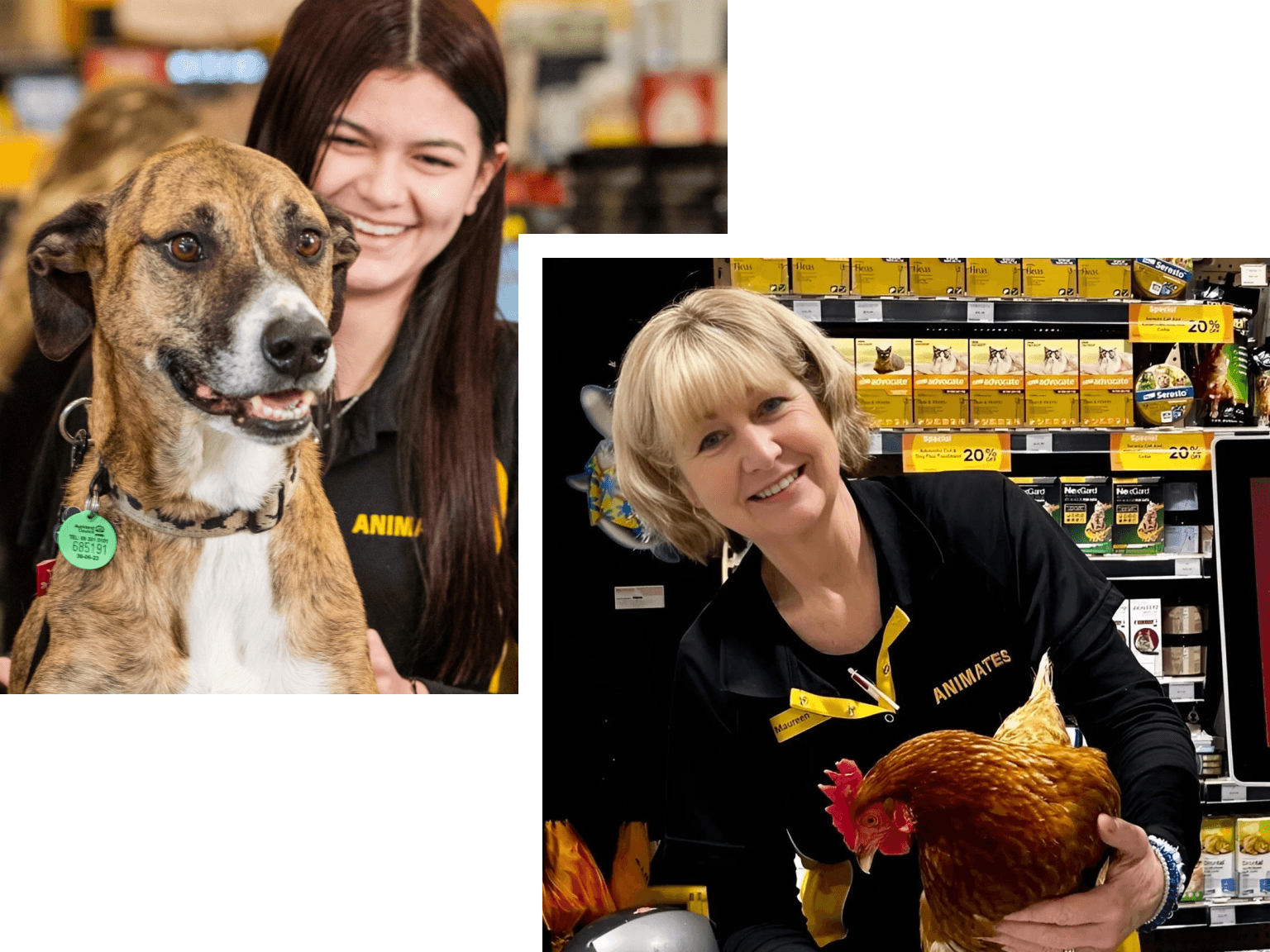 A collage image of two animates employees with animals.